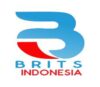 Lowongan Kerja Tentor di BRITS Indonesia