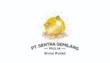 Lowongan Kerja Admin Produksi dan Logistik – Tim Support – Sales Motoris di PT. Sentra Gemilang Mulia - Yogyakarta
