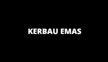 Lowongan Kerja Admin Part Time – Pramuniaga Freelance – Pramuniaga Khusus Lebaran di Kerbau Emas - Yogyakarta